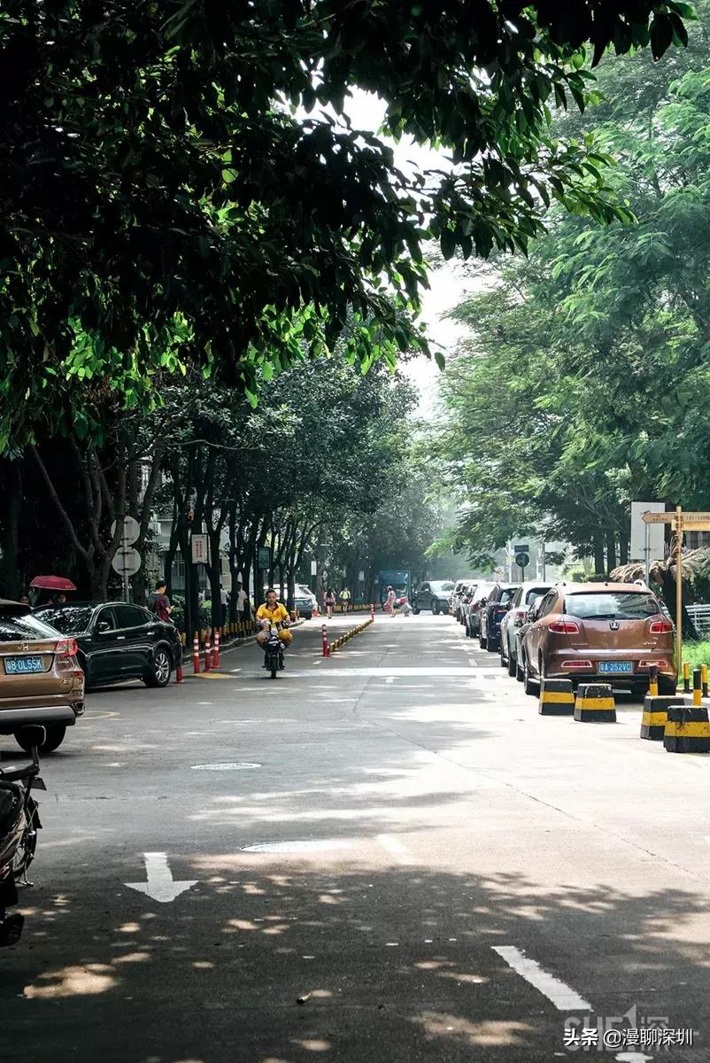 深圳益田村地址,行走深圳系列罗湖