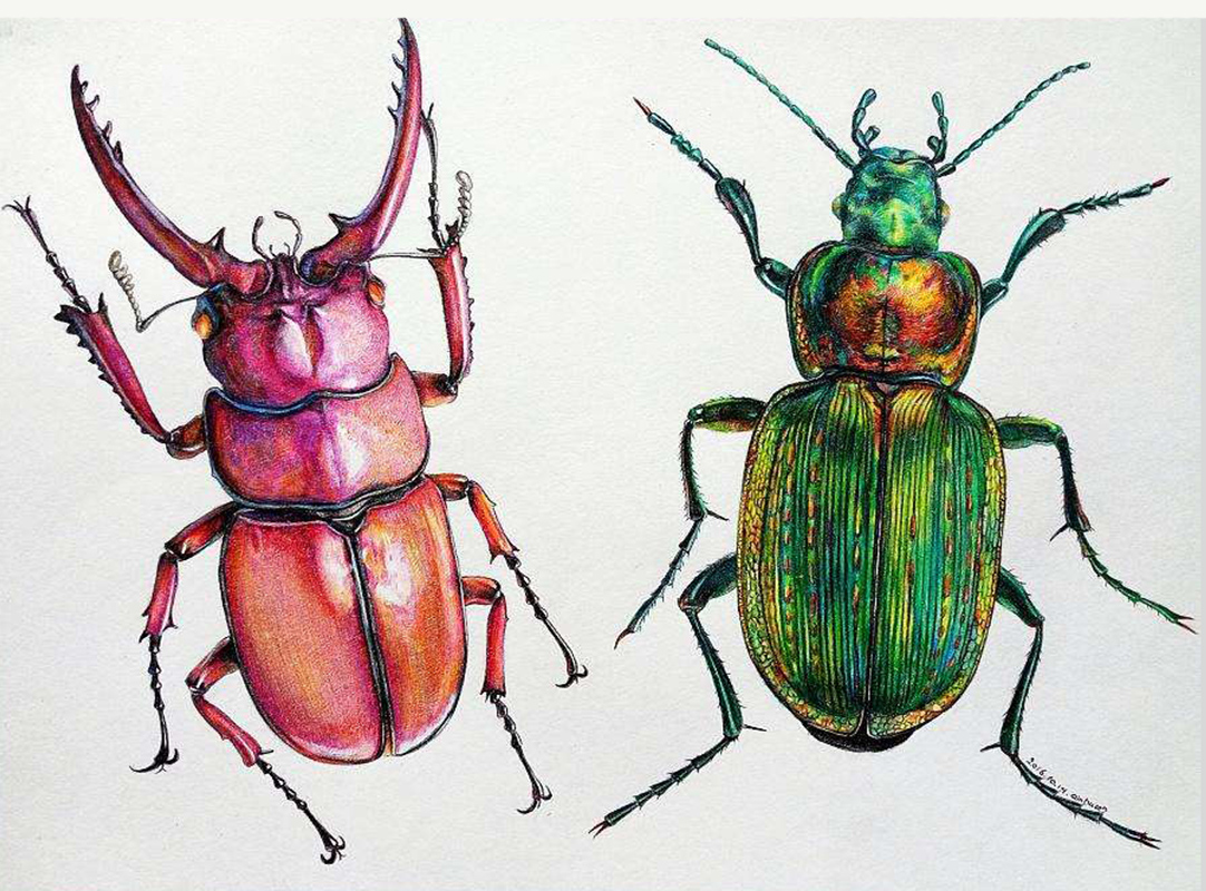 非承载式车身和承载式车身优缺点,什么是承重车身和非承重车身