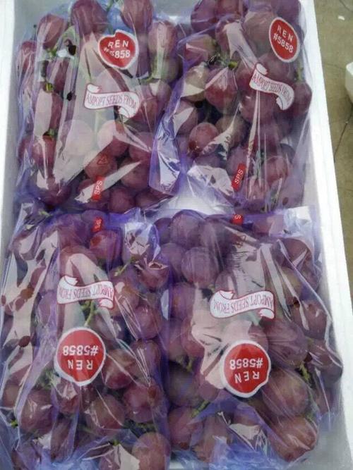 葡萄将熟之际,这些准备你要知道!做好了才能挣钱