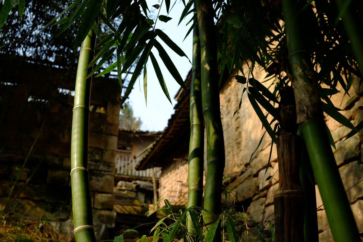 故事三则：女子捡了残疾女婴，在房间挖地洞隐藏，真相让人心酸