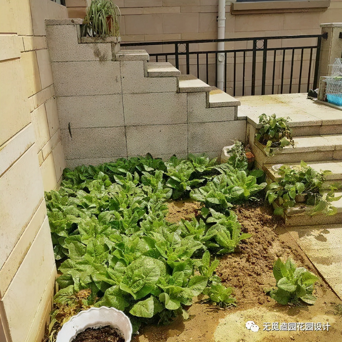 无觅造园：安徽35平宿州上河城外滩的秋水庭