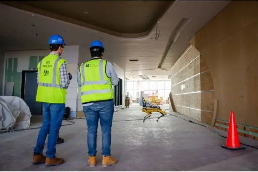 抖音网红大黄狗,网红狗大黄走红视频