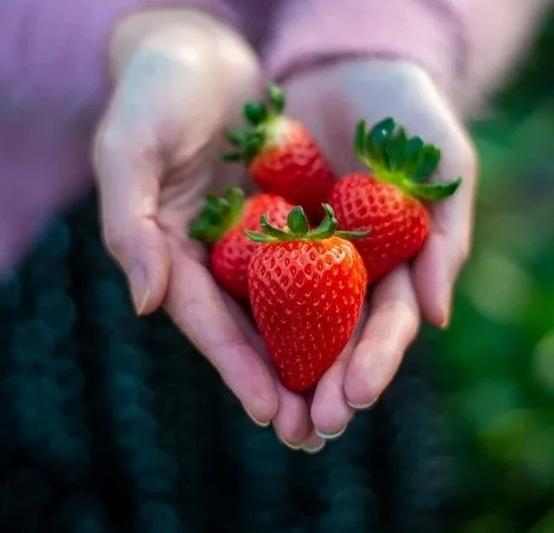 2023年三寰牧场最新攻略,三寰牧场攻略最新