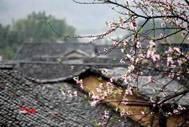 岳阳最值得去的古镇,湖南岳阳最繁华的景点