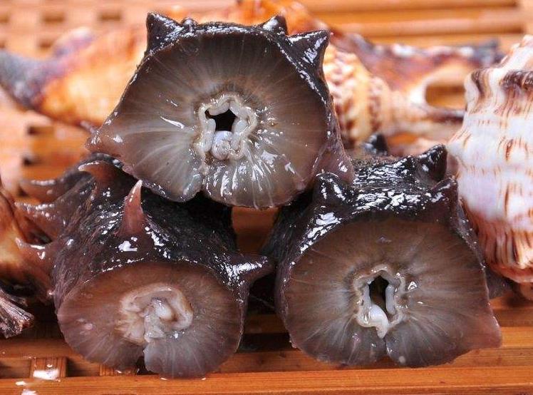 什么样的海参营养最好,海参营养价值不如鸡蛋