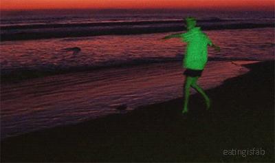 完成学业重新复出，黄金比例的小狼男模狗能否通过时尚的重新洗牌