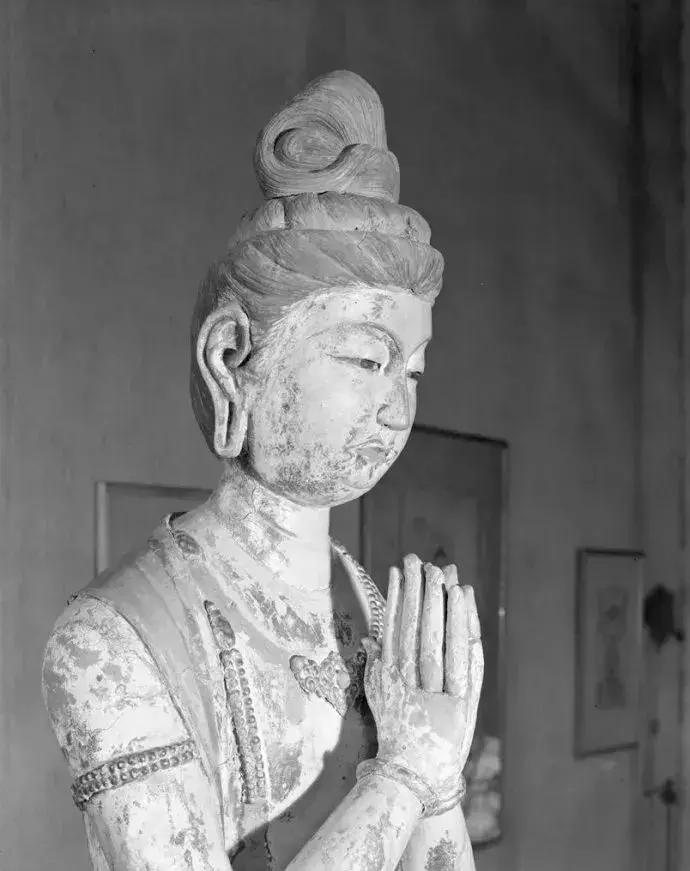 比斯坦因更残酷的*物文**盗贼——华尔纳