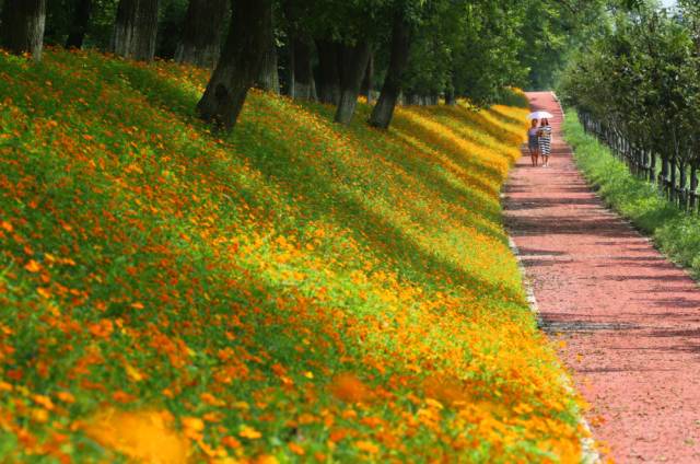 周末休闲好去处这些地方不能错过,7月初浙江好去处推荐