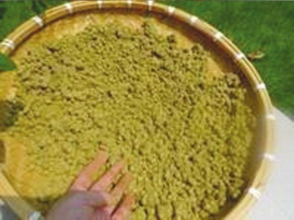 晒酱豆发酸什么原因,怎样用黄蒿晒酱豆子