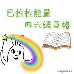 四六级准考证忘了怎么查分数,四六级准考证号丢了怎么办