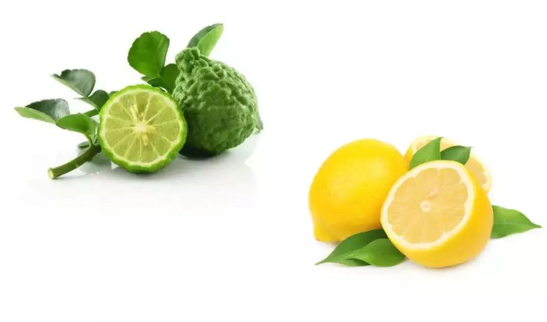 澳洲茶树精华欧阳娜娜,澳洲茶树祛痘膏欧阳娜娜