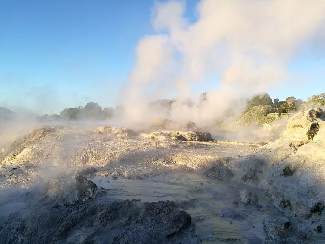 难忘的新西兰之行,在新西兰难忘的日子