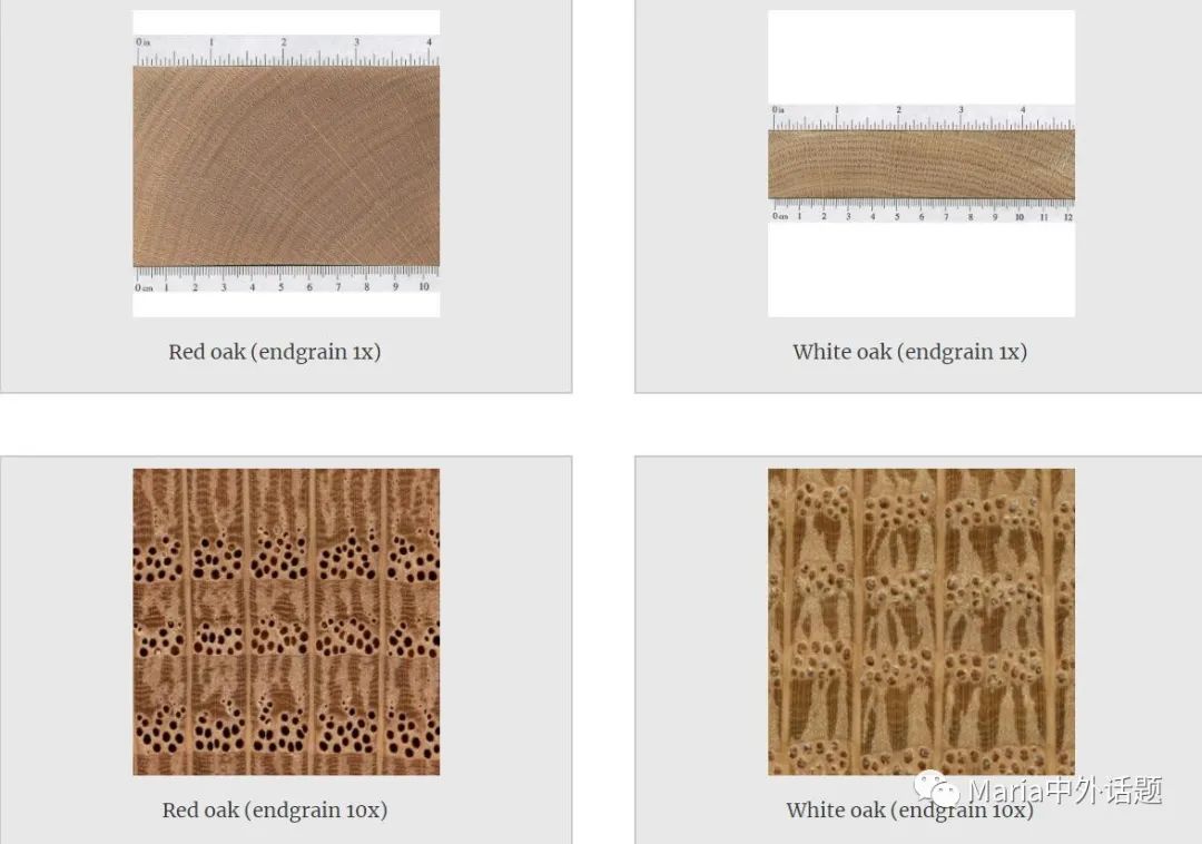 缇庡浗姗℃湪浜у尯,缇庡浗鍖楅儴姗℃湪