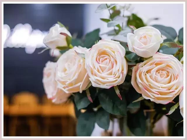 魔都四月赏花,魔都春季赏花好地方