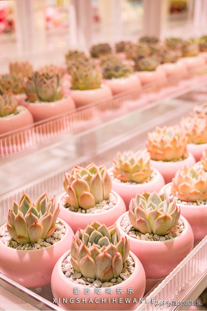 万象汇收购欢乐汇,万象汇潮玩儿