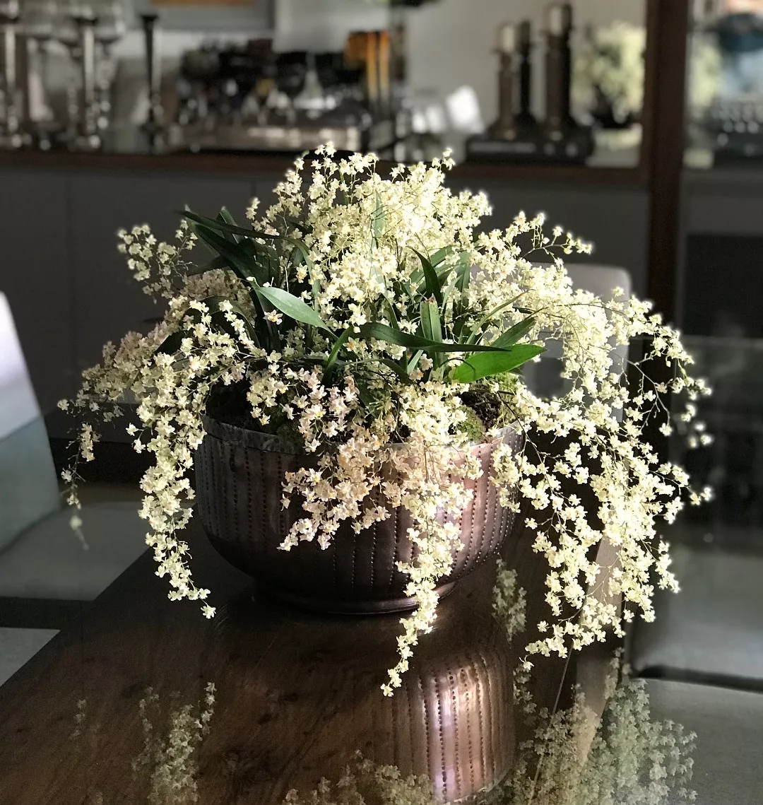 客厅卧室持久留香的香水,家里适合放什么香水