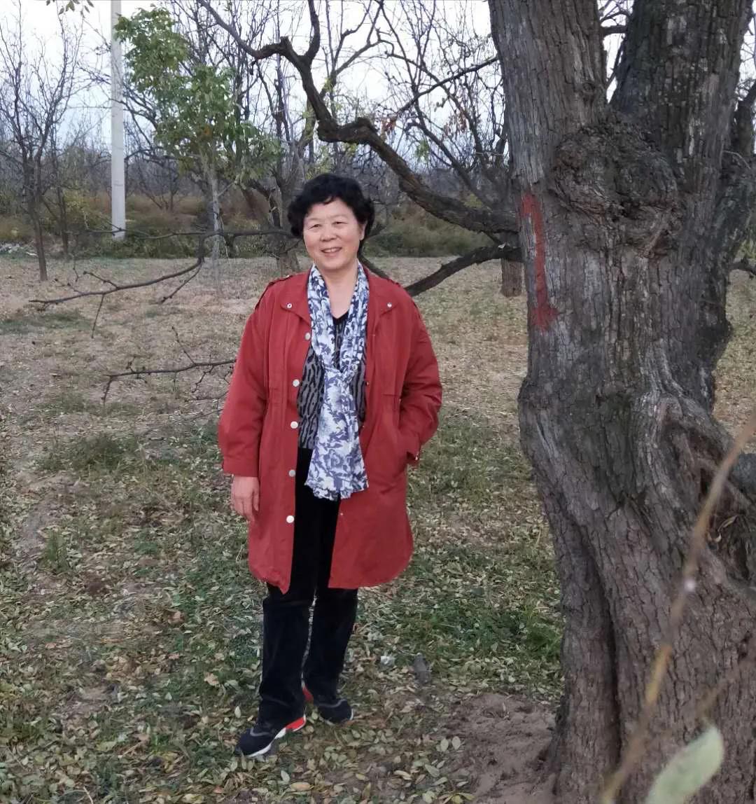 看欧洲的三种角度及文化表情－－欧华散文创作断想丨樊洛平