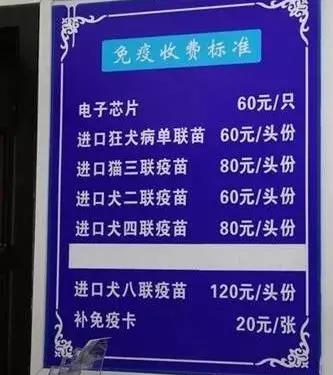 办宠物证在哪里可以办,狗狗走失了可以到警局查监控吗