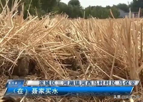 滨州农业灌溉用水收费标准,滨州市惠民县农田灌溉放水