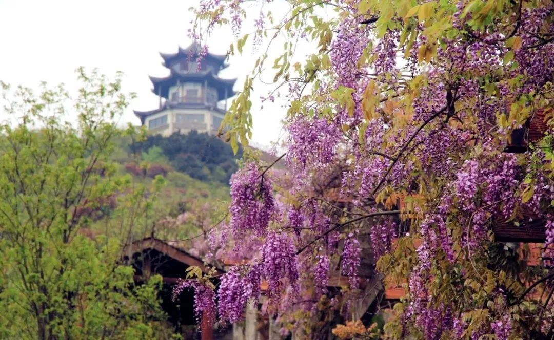 苏州西山十大知名农家乐有哪些,带你走一走苏州的太湖边农家乐