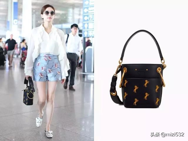 2019明星背的最火的包包,明星背lv包包图片