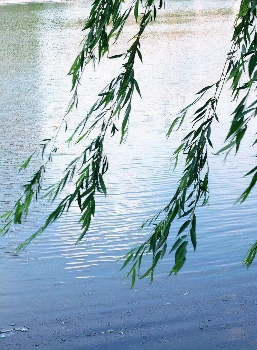 写风作文,风作文怎么写