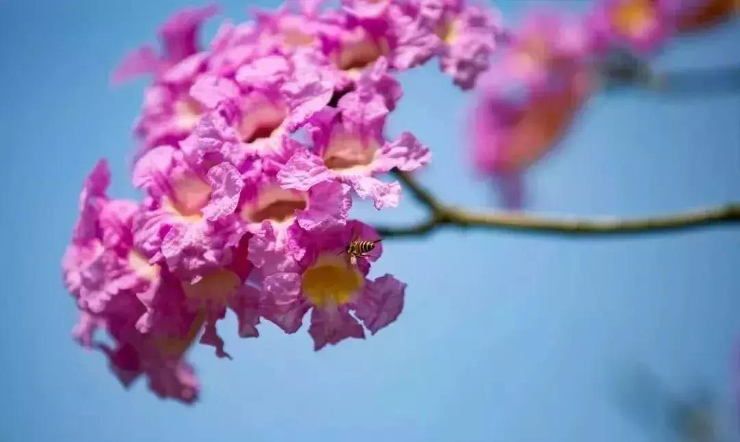 惠州趣味运动会项目推荐,惠州户外趣味运动会