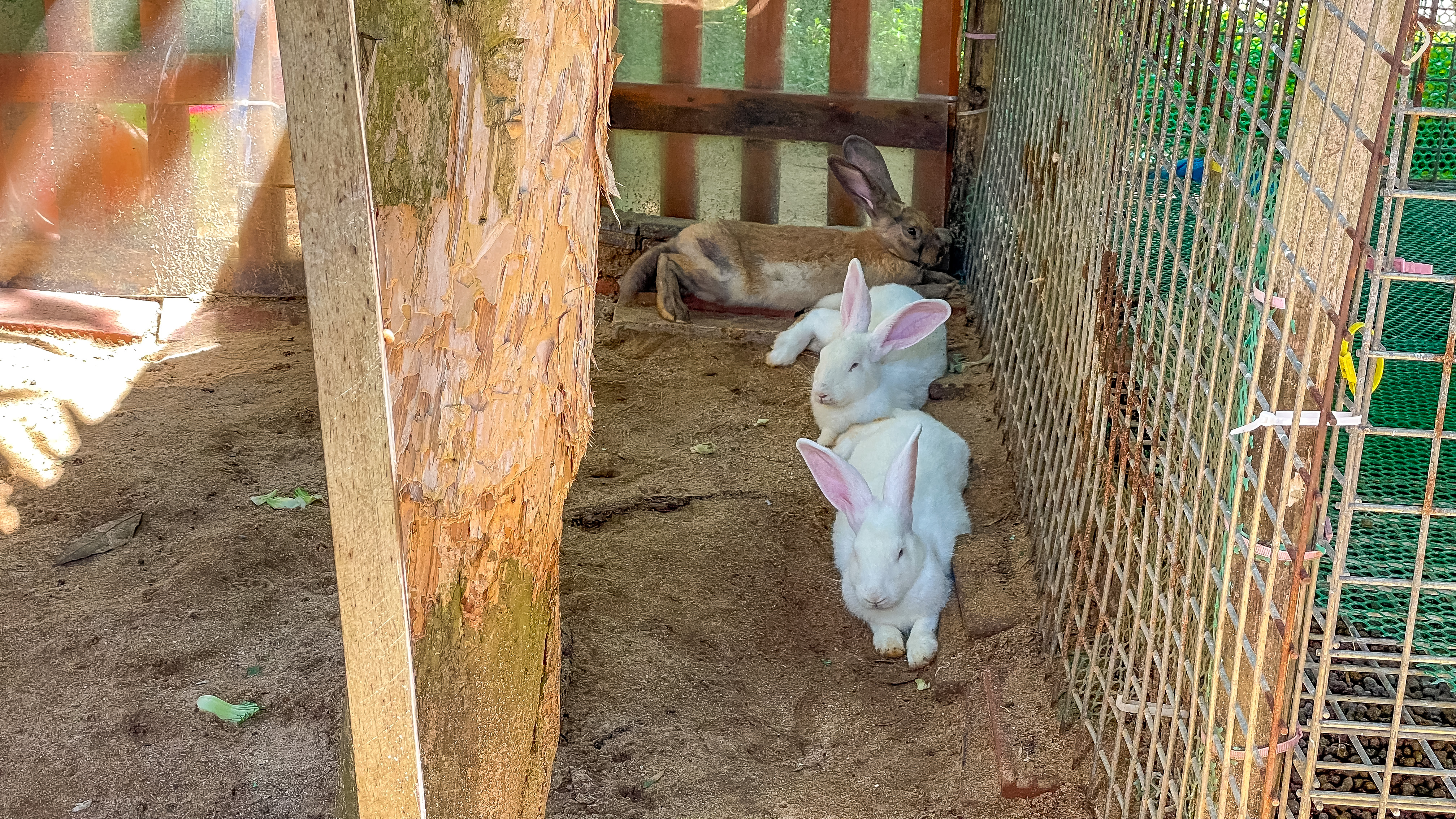 三亚最豪华酒店推荐,传说中的三亚海景酒店