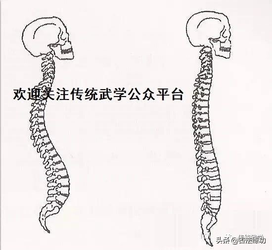 咋样正确放松关节,各个关节的放松