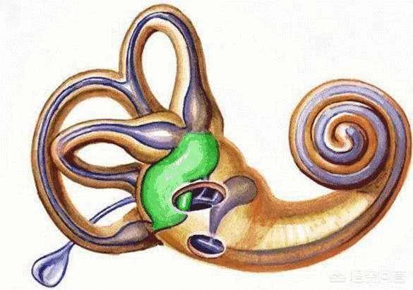 自己声音难听怎么录视频,自己声音不好听怎么录音