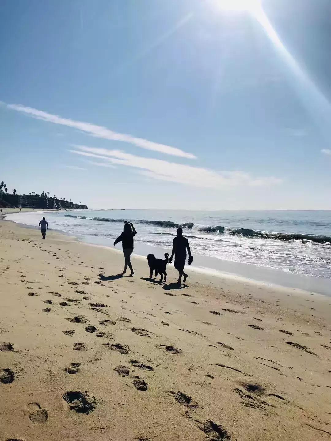 赴美生娃需要准备什么,二胎到来你们真的准备好了吗