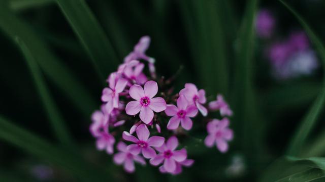 十二星座谁能让巨蟹死心,十二星座巨蟹忘不了前任