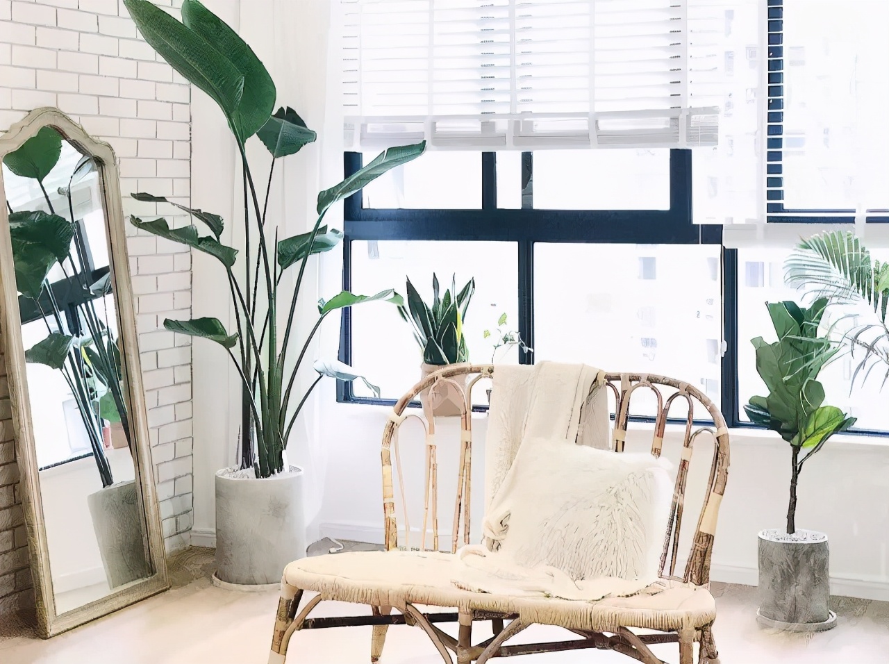 56岁阿姨独居2层别墅，不结婚不生娃，靠另类日式风圈粉无数人