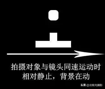 拍摄鸟类照片技巧,拍摄鸟儿照片技巧