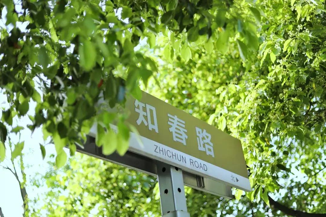 中南路事件,关于中南的那些事短剧