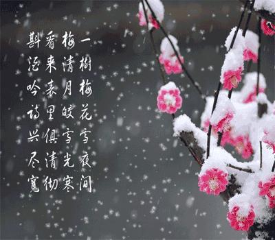 早安正能量句子带图片大雪,大雪天早安语图片