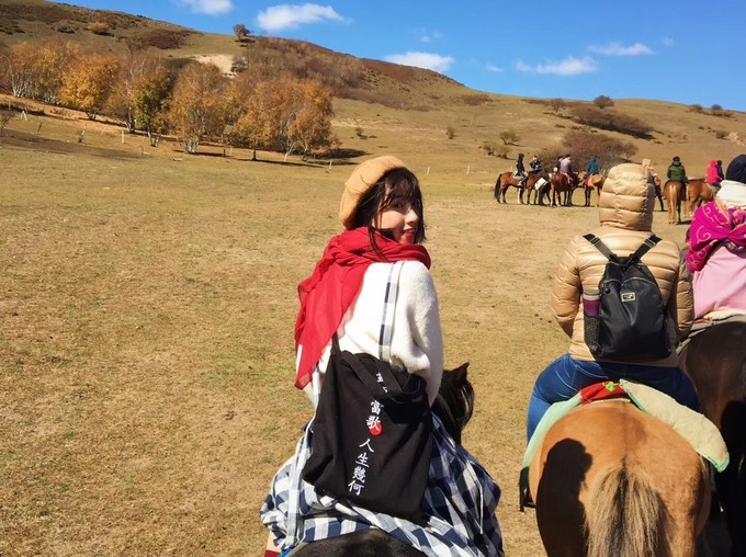 坝上乌兰布统的秋天完整版,乌兰布统坝上草原
