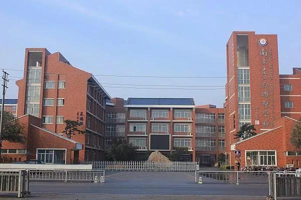 南京民办小学有哪些,南京民办中小学转为公办