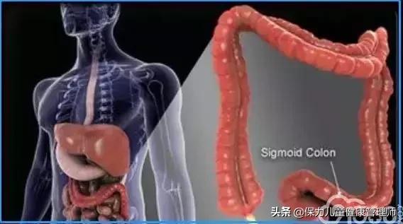 结肠癌知识普及,结肠癌肿瘤10公分严重吗