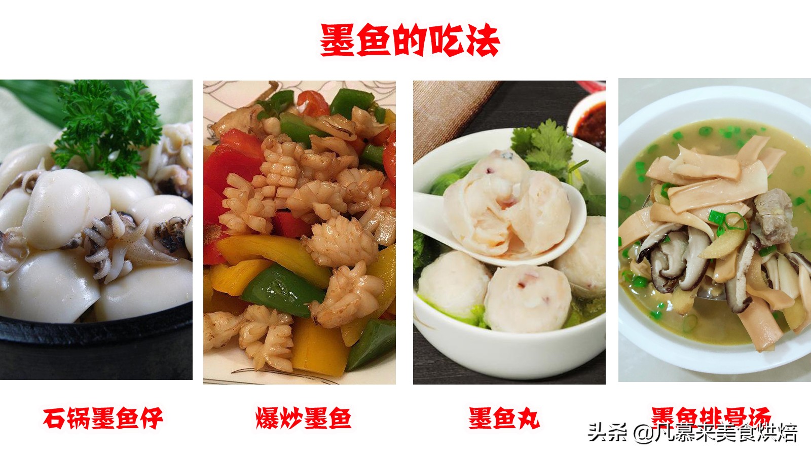 海兔墨鱼和八爪鱼哪个好吃,八爪鱼墨鱼鱿鱼海兔