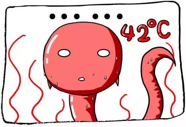 新手爸妈备孕全攻略,奶爸备孕笔记