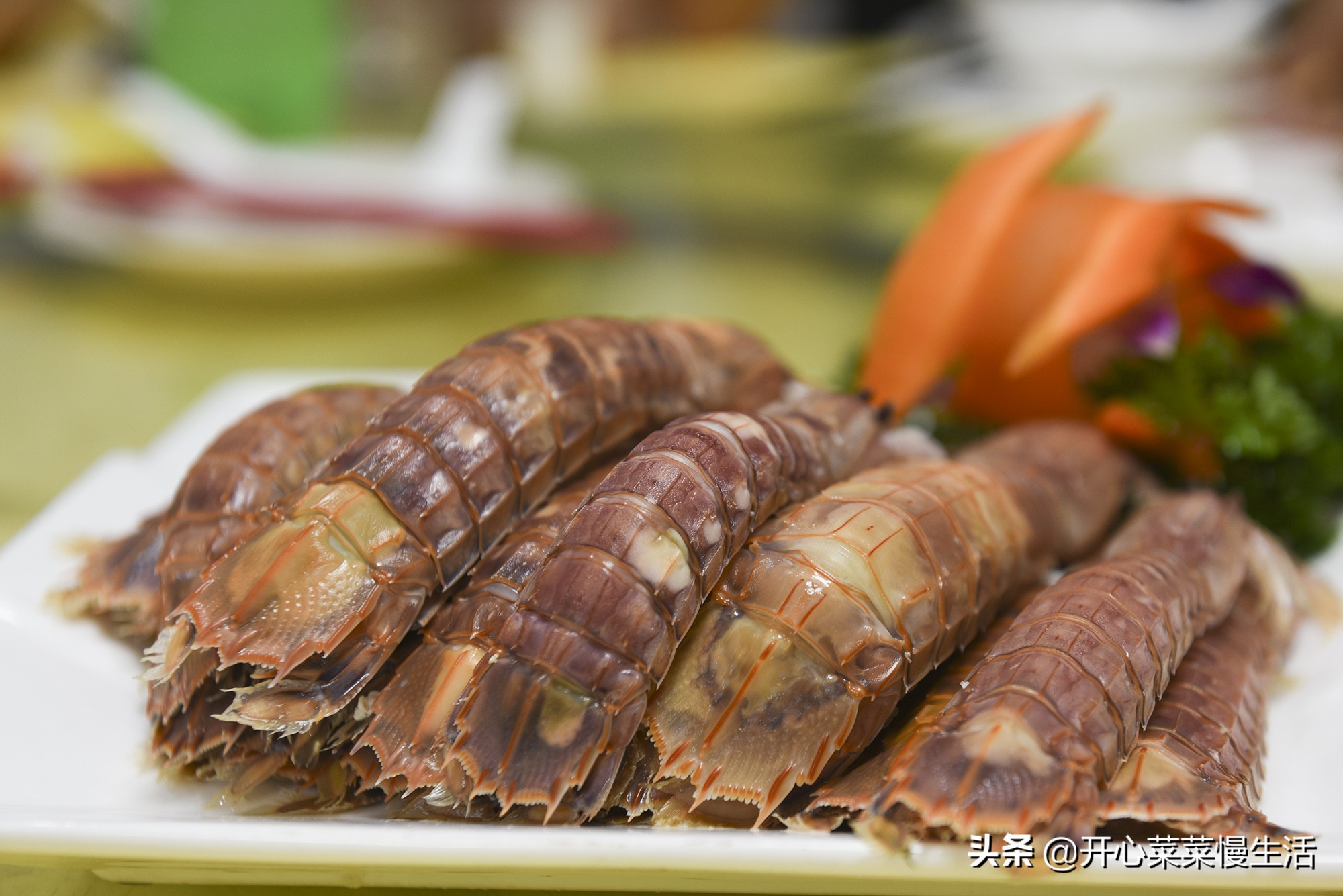 五一适合去哪旅游广东汕尾,五一去汕尾好玩地方