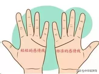 手相之感情线揭露感情的秘密,手相感情线大全图