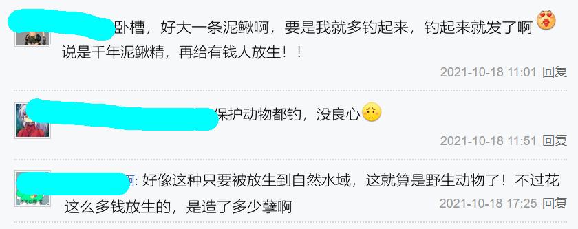 放生大量泥鳅,12斤泥鳅放生视频