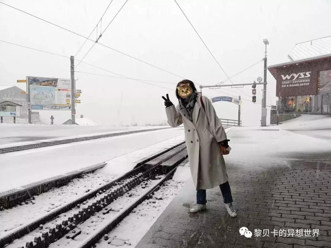 她们说穿过最满意的一件大衣,是这件!