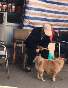 在野外发现甘蔗,在山里发现甘蔗