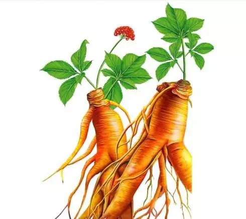 送你几味“聪明药”！……