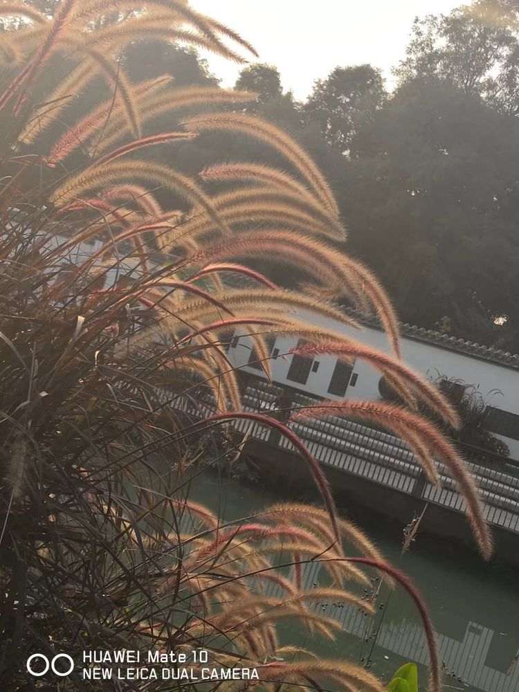 深秋的私语,美文美图经典欣赏