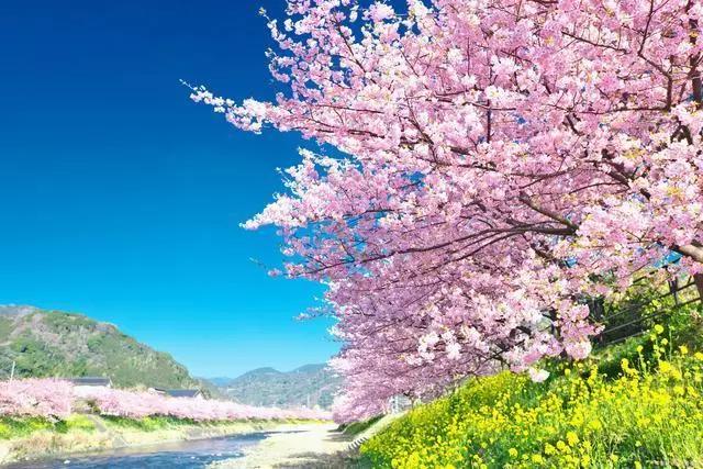 畅梦轻怀，黄灯醉墨，一笔尽是思硕