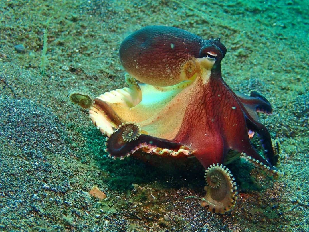 <html>
<head><title>502BadGateway</title></head>
<body>
<center><h1>502BadGateway</h1></center>
<hr><center>nginx</center>
</body>
</html>
<!--apaddingtodisableMSIEandChromefriendlyerrorpage-->
<!--apaddingtodisableMSIEandChromefriendlyerrorpage-->
<!--apaddingtodisableMSIEandChromefriendlyerrorpage-->
<!--apaddingtodisableMSIEandChromefriendlyerrorpage-->
<!--apaddingtodisableMSIEandChromefriendlyerrorpage-->
<!--apaddingtodisableMSIEandChromefriendlyerrorpage-->
